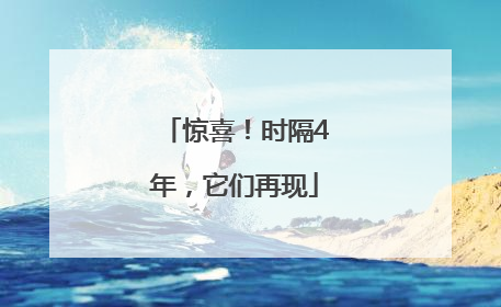 惊喜！时隔4年，它们再现