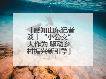 感知山东记者谈丨“小公交”大作为 驱动乡村振兴新引擎