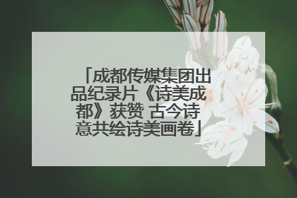 成都传媒集团出品纪录片《诗美成都》获赞 古今诗意共绘诗美画卷