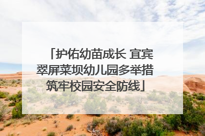 护佑幼苗成长 宜宾翠屏菜坝幼儿园多举措筑牢校园安全防线