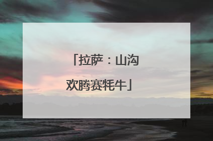 拉萨：山沟欢腾赛牦牛