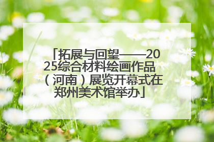 拓展与回望——2025综合材料绘画作品（河南）展览开幕式在郑州美术馆举办