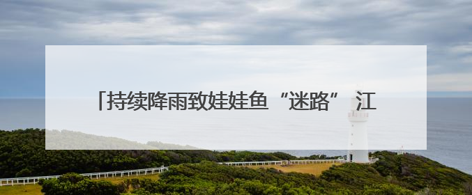 持续降雨致娃娃鱼“迷路” 江西金溪县干群联手助其重返自然