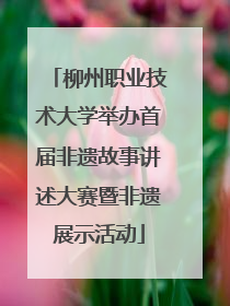 柳州职业技术大学举办首届非遗故事讲述大赛暨非遗展示活动