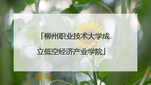 柳州职业技术大学成立低空经济产业学院