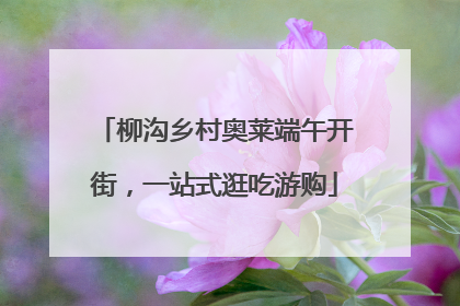 柳沟乡村奥莱端午开街，一站式逛吃游购