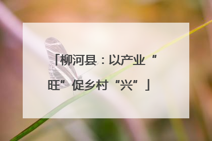 柳河县：以产业“旺”促乡村“兴”
