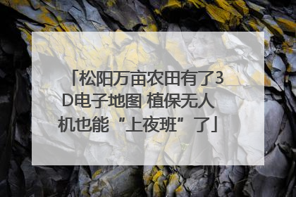 松阳万亩农田有了3D电子地图 植保无人机也能“上夜班”了