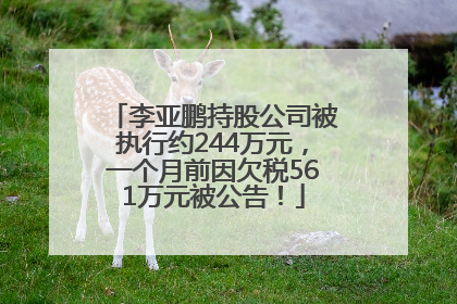 李亚鹏持股公司被执行约244万元，一个月前因欠税561万元被公告！