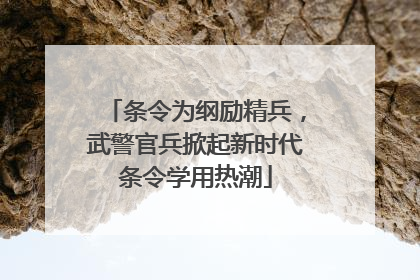 条令为纲励精兵，武警官兵掀起新时代条令学用热潮