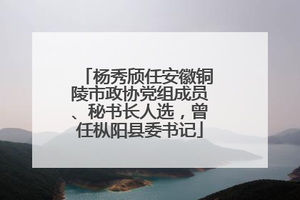杨秀颀任安徽铜陵市政协党组成员、秘书长人选，曾任枞阳县委书记