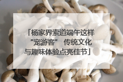 杨家界索道端午这样“宠游客” 传统文化与趣味体验点亮佳节