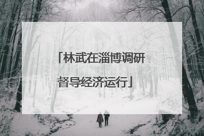 林武在淄博调研督导经济运行