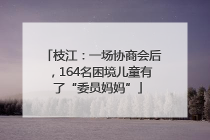 枝江：一场协商会后，164名困境儿童有了“委员妈妈”