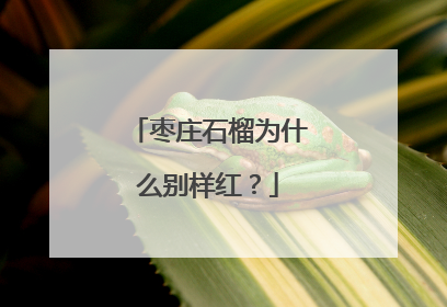 枣庄石榴为什么别样红？