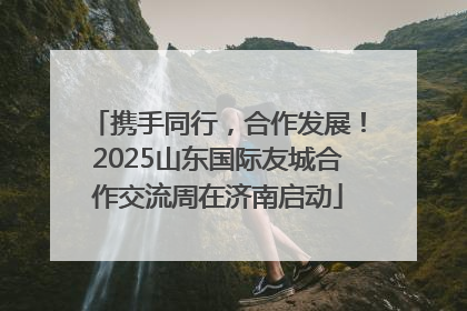 携手同行，合作发展！2025山东国际友城合作交流周在济南启动