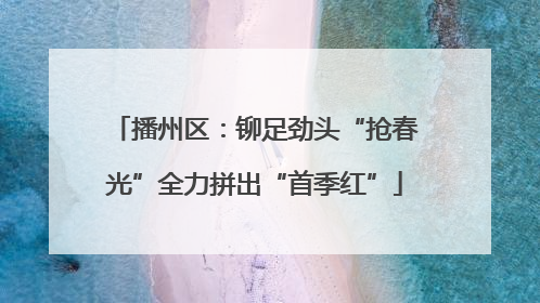 播州区：铆足劲头“抢春光”全力拼出“首季红”