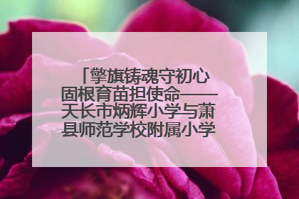 擎旗铸魂守初心 固根育苗担使命——天长市炳辉小学与萧县师范学校附属小学结对共建活动纪实