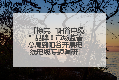 擦亮“阳谷电缆”品牌！市场监管总局到阳谷开展电线电缆专题调研