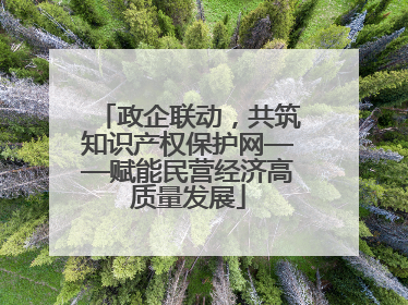 政企联动，共筑知识产权保护网——赋能民营经济高质量发展
