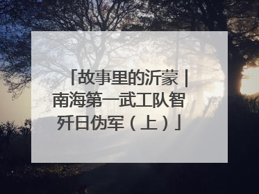 故事里的沂蒙｜南海第一武工队智歼日伪军（上）