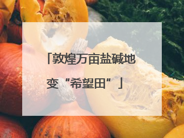 敦煌万亩盐碱地变“希望田”