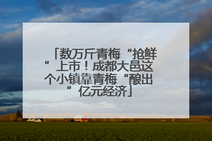 数万斤青梅“抢鲜”上市！成都大邑这个小镇靠青梅“酿出”亿元经济