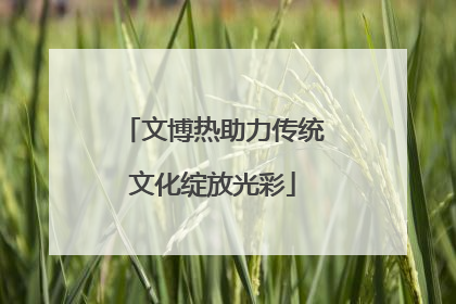 文博热助力传统文化绽放光彩