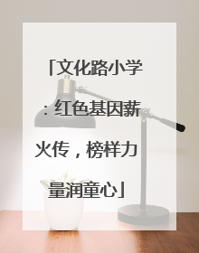 文化路小学：红色基因薪火传，榜样力量润童心