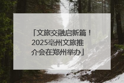 文旅交融启新篇！2025亳州文旅推介会在郑州举办