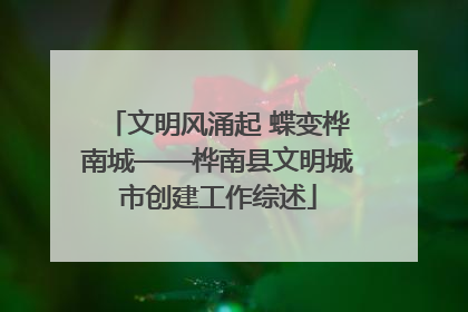 文明风涌起 蝶变桦南城——桦南县文明城市创建工作综述