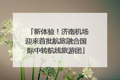 新体验！济南机场迎来首批航旅融合国际中转航线旅游团