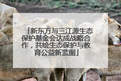 新东方与三江源生态保护基金会达成战略合作，共绘生态保护与教育公益新蓝图
