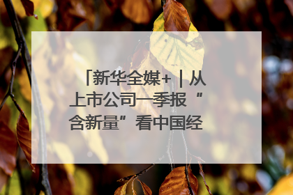 新华全媒+｜从上市公司一季报“含新量”看中国经济发展向“新”
