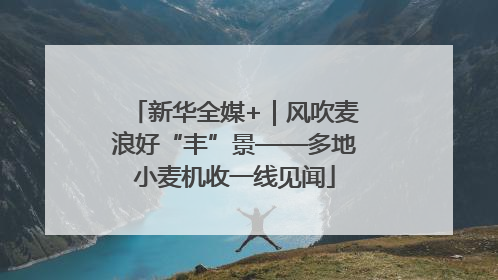 新华全媒+｜风吹麦浪好“丰”景——多地小麦机收一线见闻
