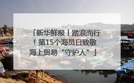新华鲜报丨踏浪而行！第15个海员日致敬海上贸易“守护人”