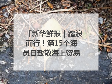 新华鲜报｜踏浪而行！第15个海员日致敬海上贸易“守护人”