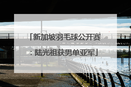 新加坡羽毛球公开赛：陆光祖获男单亚军