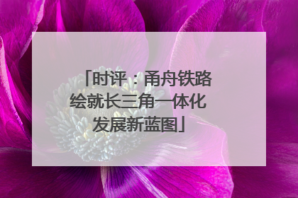 时评：甬舟铁路绘就长三角一体化发展新蓝图