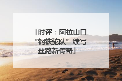 时评：阿拉山口“钢铁驼队”续写丝路新传奇