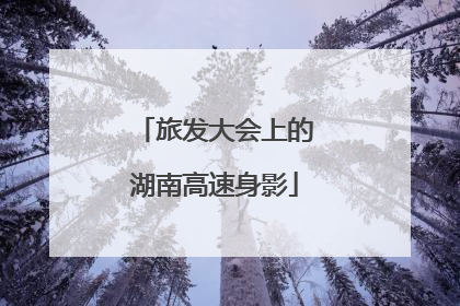 旅发大会上的湖南高速身影