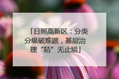 日照高新区：分类分级破难题，基层治理“精”无止境