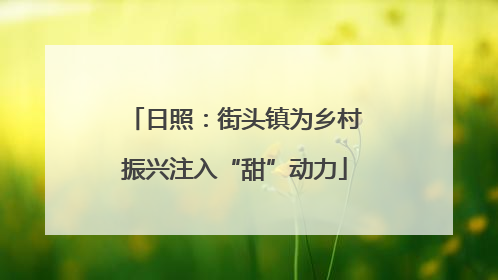日照：街头镇为乡村振兴注入“甜”动力