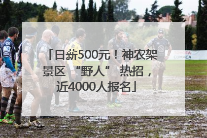 日薪500元！神农架景区 “野人” 热招，近4000人报名