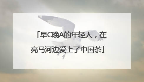 早C晚A的年轻人，在亮马河边爱上了中国茶