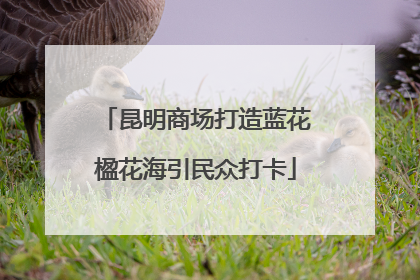 昆明商场打造蓝花楹花海引民众打卡