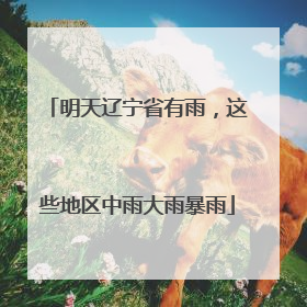 明天辽宁省有雨，这些地区中雨大雨暴雨