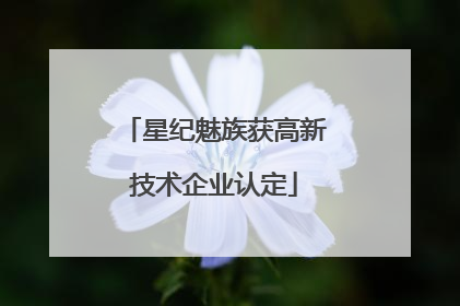 星纪魅族获高新技术企业认定