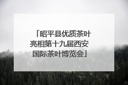 昭平县优质茶叶亮相第十九届西安国际茶叶博览会
