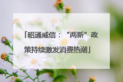 昭通威信：“两新”政策持续激发消费热潮